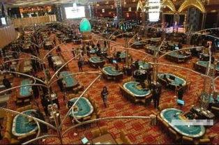 澳门最新爆料电话,揭秘幕后真相 第1张 澳门最新爆料电话,揭秘幕后真相 第1张